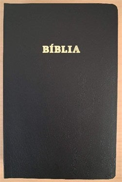 Bíblia - svørt - bleyt perma - gullskurð