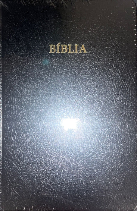 Bíblia - bleyt perma - gullskurð Bíbliur Bøkur 